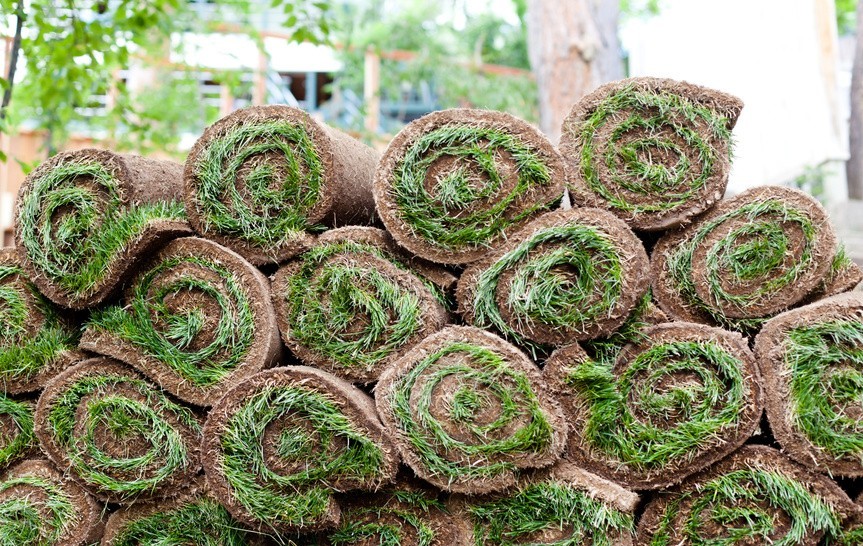 small-sod-rolls-in-pensacola